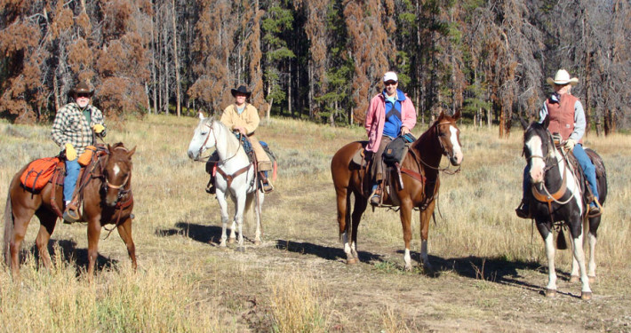 Cattle Gathering Crew